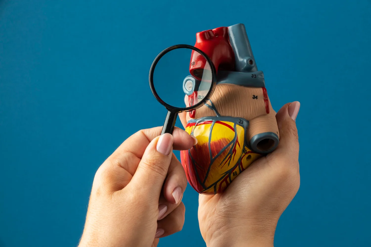 Check Up Cardiovascular en Ciudad de México: Prevención y Diagnóstico con el Dr. Gerardo Mercado Rojas